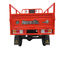 Triciclo del carico motorizzato tri ruota per il carico del contenitore pesante di carico delle merci 1.8M*1.25M