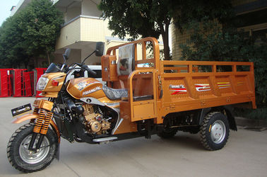 L'adulto ha motorizzato il cambio automatico del motociclo della ruota del triciclo tre del carico 200CC