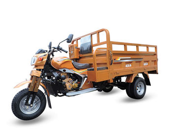 Il trasporto di lusso ha motorizzato il triciclo del carico/motociclo automatico 250cc di 3 ruote