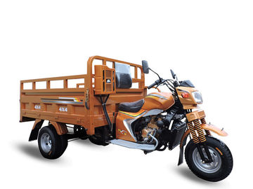 La ruota 3 ha motorizzato il triciclo del carico del triciclo 250cc che intensifica il carraio del trasporto tre per gli adulti