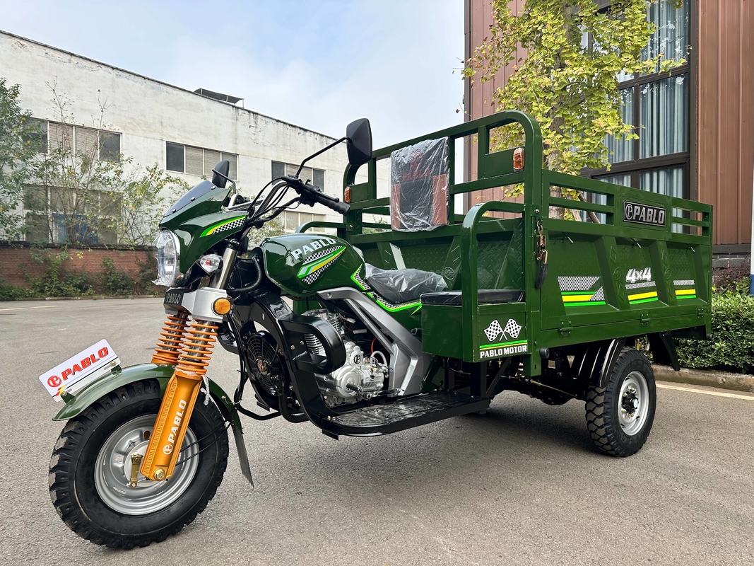 Motocicletta a 3 ruote resistente con freno a tamburo anteriore e posteriore e tipo di carrozzeria aperta
