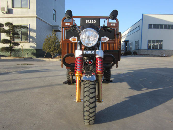 Motociclo dorato del carico della ruota di colore tre per la guida interurbana