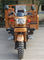L'adulto ha motorizzato il cambio automatico del motociclo della ruota del triciclo tre del carico 200CC