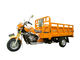 Shuiyin ha motorizzato il gas del motociclo della ruota di Trike 250cc tre del carico o il combustibile della benzina