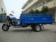 Triciclo di sollevamento automatico del carico 250CC, cinese 3 ruote posteriori del doppio del motociclo della ruota